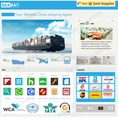 Shipping Service From Guangzhou to The United Arab Emirates